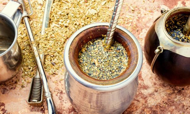 Propriétés de la yerba mate