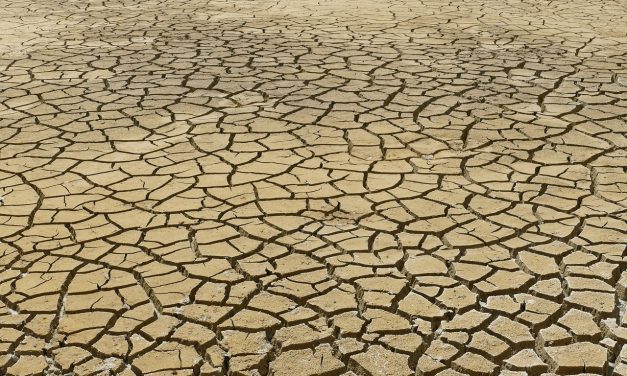 Les effets de la déshydratation sur le corps