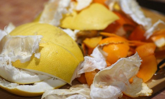 Les différentes façons de réutiliser les déchets de fruits et légumes (compostage, recettes de cuisine, etc.)