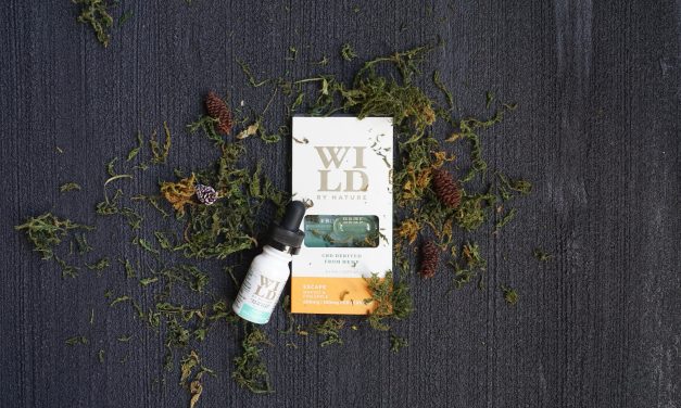 5 raisons pour lesquelles l&rsquo;huile essentielle d&rsquo;arbres à thé est un must-have pour votre trousse de soins naturels