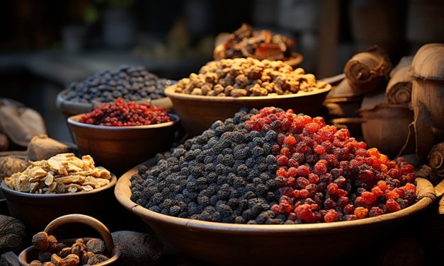Santé boostée : comment les fruits secs révolutionnent votre nutrition !