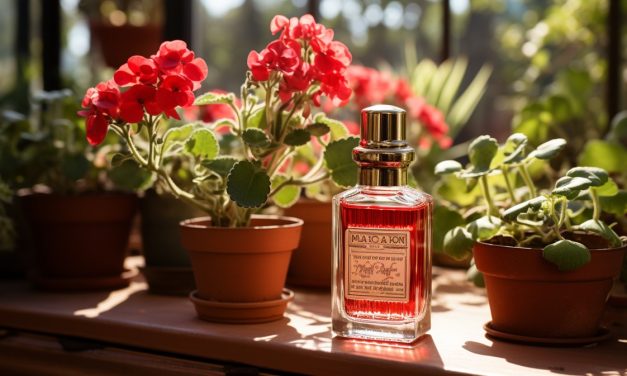 Le guide ultime : l&rsquo;huile essentielle de géranium bourbon, ses propriétés et usages vous surprendront !
